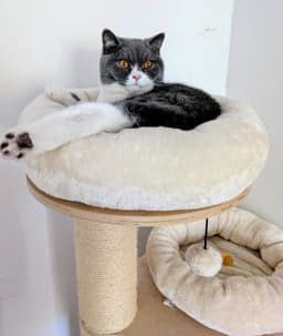Chat de Fred