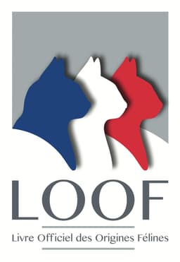 LOOF